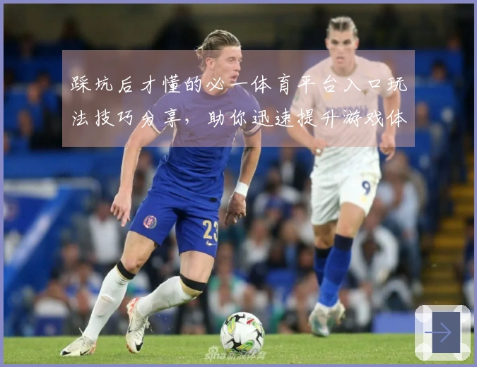 踩坑后才懂的必一体育平台入口玩法技巧分享，助你迅速提升游戏体验