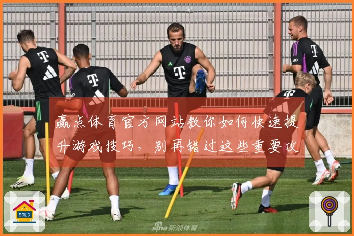 赢点体育官方网站教你如何快速提升游戏技巧，别再错过这些重要攻略了！